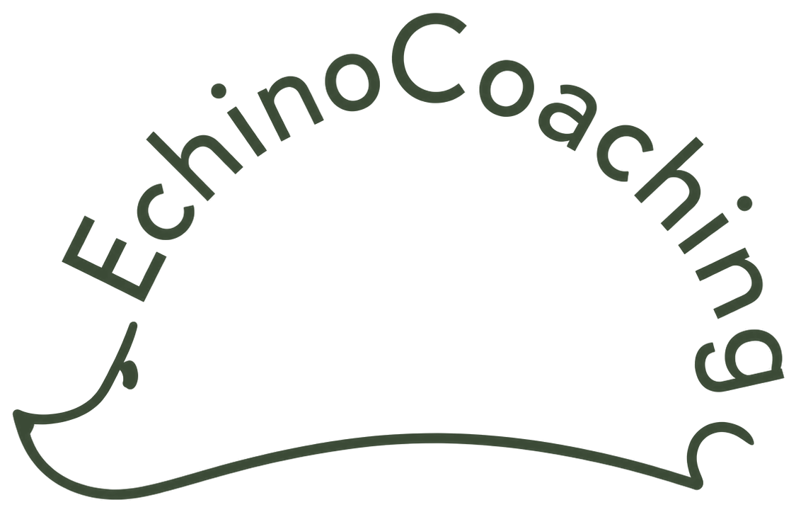 EchinoCoaching